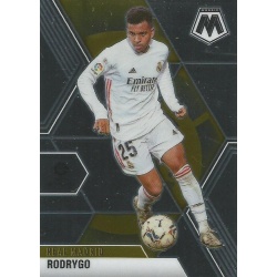 Rodrygo Real Madrid 29