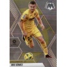 Moi Gomez Villarreal 39