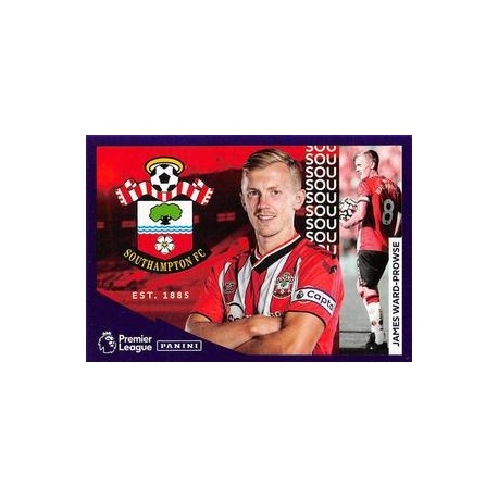 James Ward-Prowse Fast Facts 18