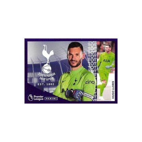 Hugo Lloris Fast Facts 19
