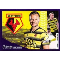 Tom Cleverley Fast Facts 20