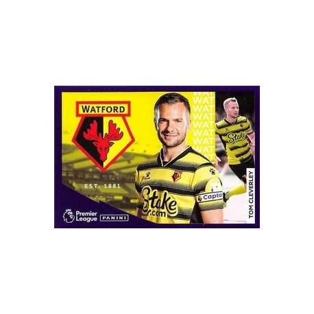 Tom Cleverley Fast Facts 20
