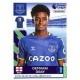 Demarai Gray Everton 245