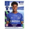 Venta Cromo de Demarai Gray Everton Panini Premier League Stickers 2022
