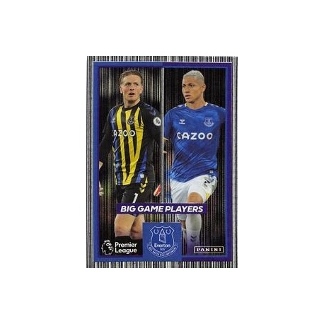 Jordan Pickford - Richarlison Power Pair Everton 251