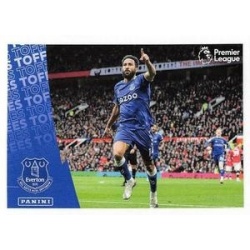 Celebration Everton 254