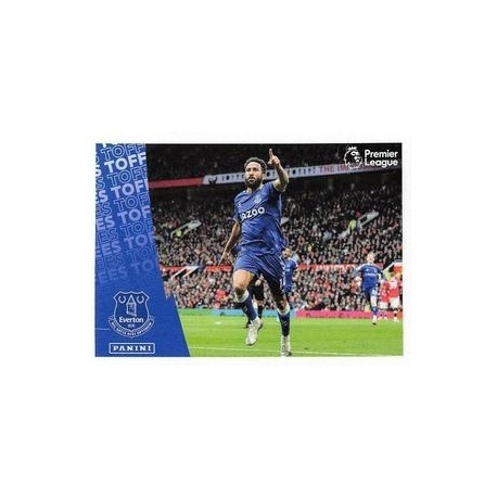 Celebration Everton 254