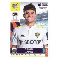 Daniel James Leeds United 269