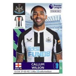 Callum Wilson Newcastle United 455