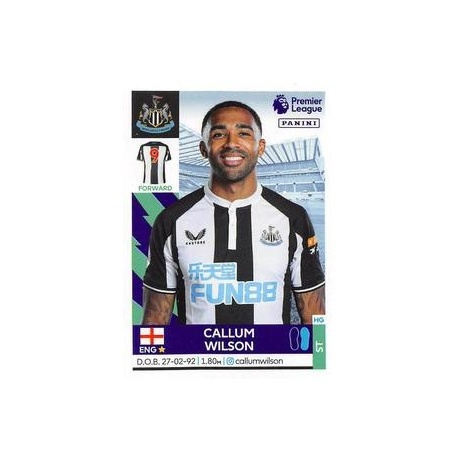 Callum Wilson Newcastle United 455