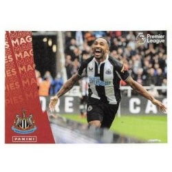 Celebration Newcastle United 462