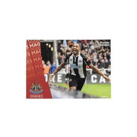 Celebration Newcastle United 462