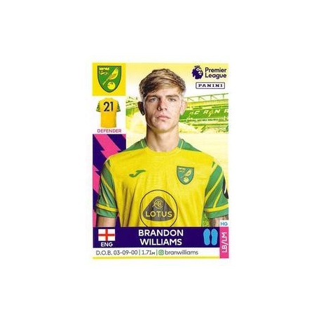 Brandon Williams Norwich City 472