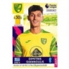 Comprar Cromo Dimitris Giannoulis Norwich City Panini Premier League 2021/22