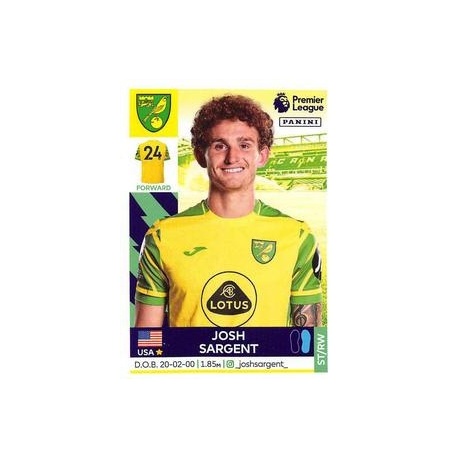 Josh Sargent Norwich City 486
