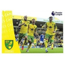 Celebration Norwich City 491