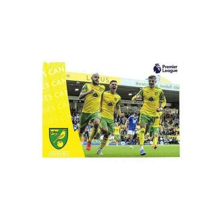 Celebration Norwich City 491