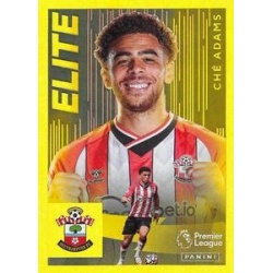 Ché Adams Elite Southampton 519