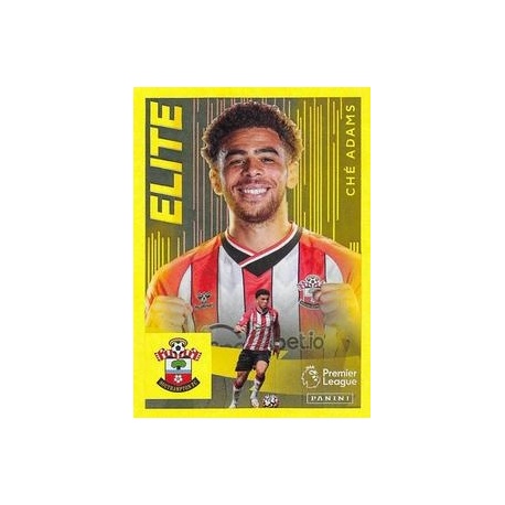 Ché Adams Elite Southampton 519