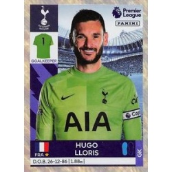 Hugo Lloris Tottenham Hotspur 522