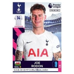 Joe Rodon Tottenham Hotspur 529