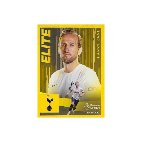 Harry Kane Tottenham Hotspur 548