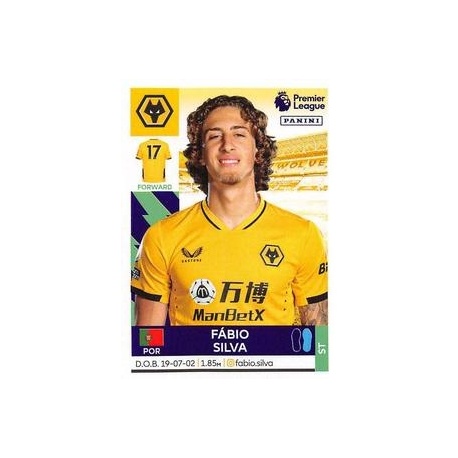 Fábio Silva Wolverhampton Wanderers 629