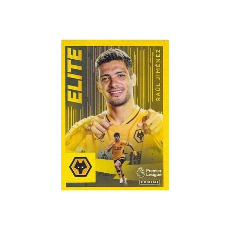 Raúl Jiménez Wolverhampton Wanderers 635