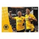 Celebration Wolverhampton Wanderers 636