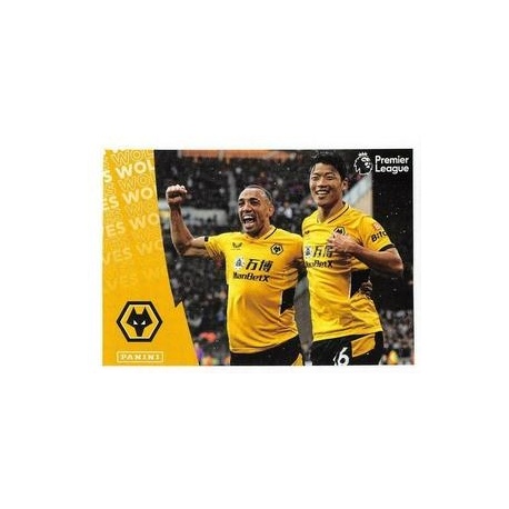 Celebration Wolverhampton Wanderers 636