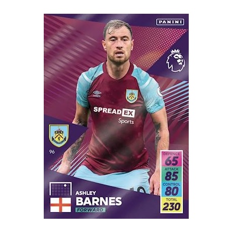 Ashley Barnes Burnley 96