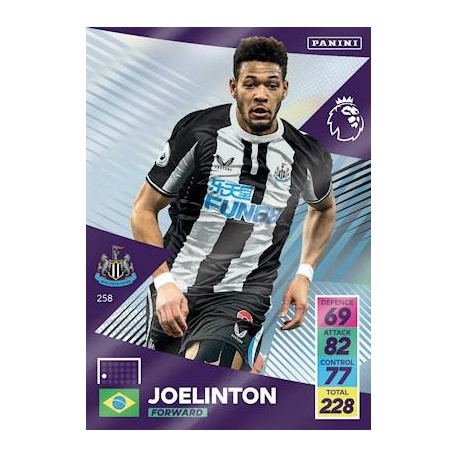 Joelinton Newcastle United 258