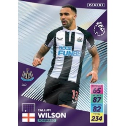 Callum Wilson Newcastle United 260
