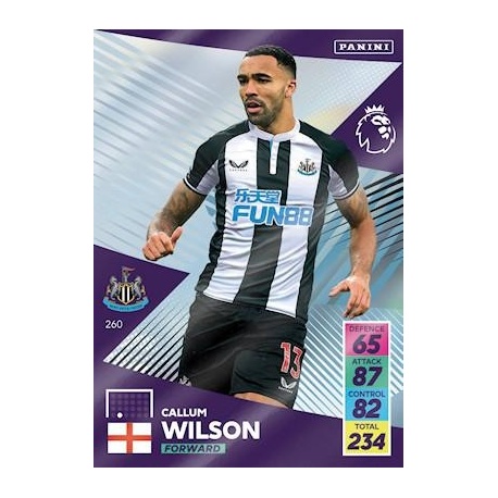 Callum Wilson Newcastle United 260