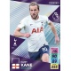 Harry Kane Tottenham Hotspur 313