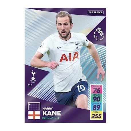 Harry Kane Tottenham Hotspur 313