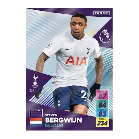 Steven Bergwijn Tottenham Hotspur 314