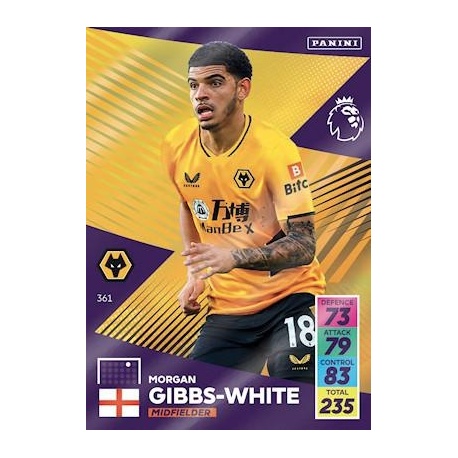 Morgan Gibbs-White Wolverhampton Wanderers 361