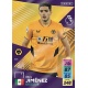Raúl Jiménez Wolverhampton Wanderers 365