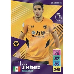 Raúl Jiménez Wolverhampton Wanderers 365