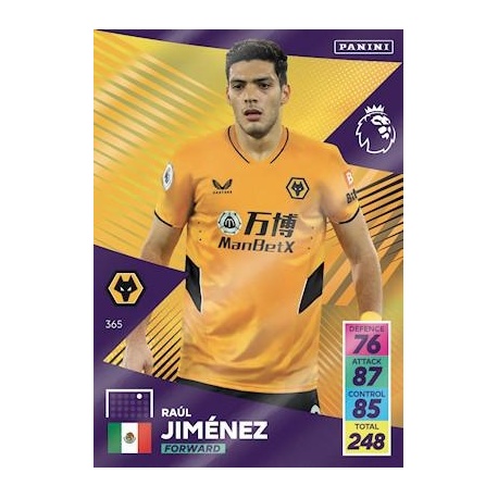 Raúl Jiménez Wolverhampton Wanderers 365