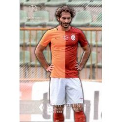 Hamit Altintop Galatasaray AŞ 70