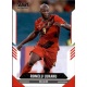 Romelu Lukaku Belgium 15