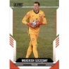 Venta Cromo Wojciech Szczesny Poland Panini Score Fifa