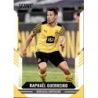 Trading Cards Raphael Guerreiro Borussia Dortmund Panini Fifa Score