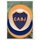 Escudo - Boca Juniors 20 Panini FIFA 365 2019 Sticker Collection