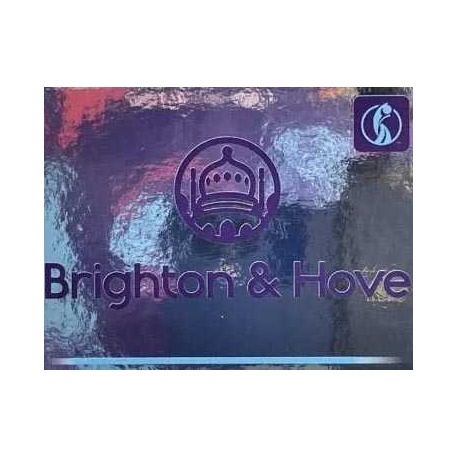 Brighton & Hove Host Cities 6