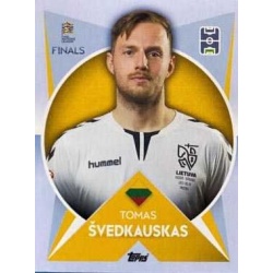 Tomas Švedkauskas Goalkeeper Lithuania 41