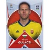 Péter Gulácsi Goalkeeper Hungary 37