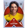 Yann Sommer Goalkeeper Switzerland 40